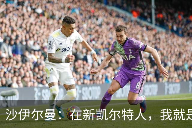 沙伊尔曼：在新凯尔特人，我就是场上的变色龙！